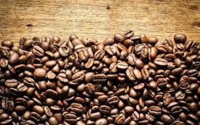 Café hoje: confira as cotações para esta sexta-feira (17)