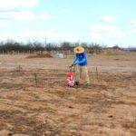 Começa cultivo em vila produtiva rural na região da transposição do Rio São Francisco