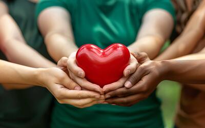 Como ser um doador de órgãos no Brasil: entenda os passos e a importância da autorização familiar