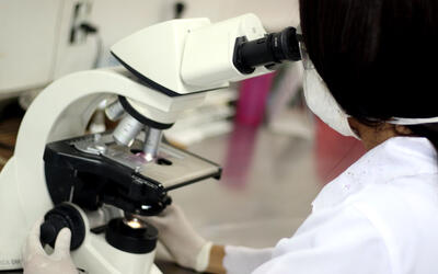 Doação de Órgãos: Prova Cruzada Virtual agiliza transplantes e reduz risco de rejeição