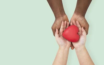 Doação de órgãos: entenda quem pode doar e como funciona o processo