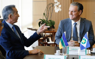 Governo federal reforça combate à praga que ameaça produção de mandioca no Amapá