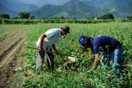 Pequenas cidades puxam o agro e geram mais da metade dos empregos do setor em setembro