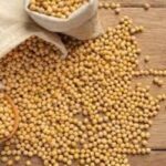 Soja e trigo: confira as cotações de preço para esta quarta-feira (8)