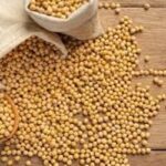 Soja e trigo: confira as cotações de preço para esta segunda-feira (13)