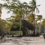 100% das iniciativas do MIDR estão alinhadas aos Objetivos de Desenvolvimento Sustentável