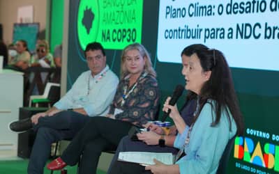 COP30: técnicas regenerativas podem elevar a produtividade sem degradar novas áreas na Amazônia