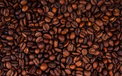 Café hoje: confira as cotações para quarta-feira (26)