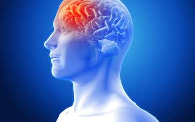 Casos de meningite crescem na Baixada Santista, o que alerta autoridades