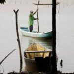 Oceana lança guia na COP30 para fortalecer a pesca diante das mudanças climáticas