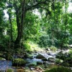 Licenciamento Ambiental: Região Sudeste soma mais de 24,7 mil pedidos em análise