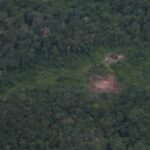 Licenciamento Ambiental: Região Sul soma mais de 15 mil pedidos em análise