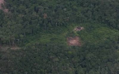 Licenciamento Ambiental: Região Sul soma mais de 15 mil pedidos em análise