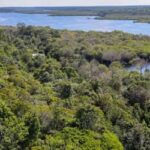 Licenciamento Ambiental: entidades veem derrubada de vetos como avanço para o desenvolvimento sustentável