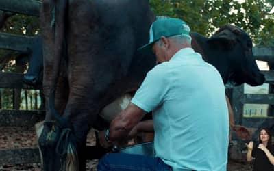 Do milho ao açaí: como o crédito bancário impulsionou uma fazenda no sudeste do Pará