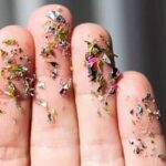 Microplásticos no corpo humano: evidências científicas reforçam necessidade de restrições ao uso de plástico