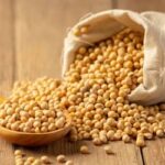 Soja e trigo hoje: confira as cotações para terça-feira (23)