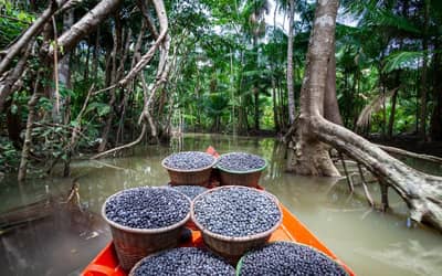 Amazônia: municípios têm R$ 131,9 milhões para regularização fundiária e assistência técnica