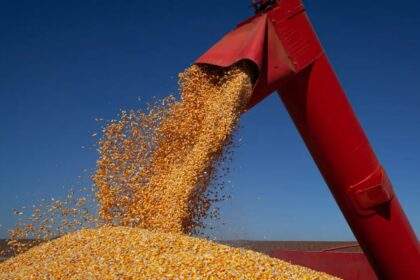 Chuvas intensas em Minas Gerais e Goiás atrasam plantio do milho e ameaçam colheita do feijão