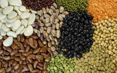 Exportações de pulses do Brasil sobem 30% em 2025, com destaque para o feijão