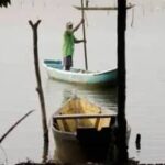 Maranhão e Pará lideram número de licenças de pescadores canceladas pelo MPA
