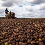 Câmara aprova análise acelerada para novas regras do Seguro Rural no Brasil