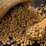 Soja e trigo: confira as cotações de preço para esta terça-feira (10)