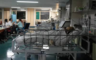 SRAG continua a aumentar em todo o Brasil, afetando todas as faixas etárias (28)