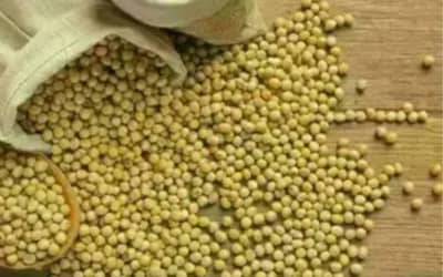 Preços da Soja e do Trigo Caimam no Paraná e no Rio Grande do Sul (21/05)