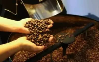 Café hoje: confira cotações para esta quarta-feira (10)