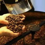 Café, Açúcar e Milho: Preços em Baixa no Mercado Brasileiro (03/06)