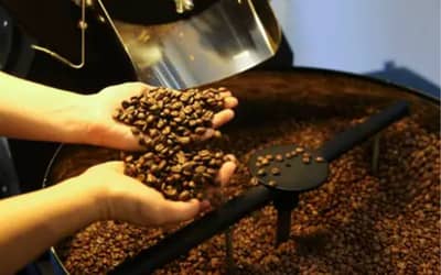 Café hoje: confira cotações para esta sexta (5)
