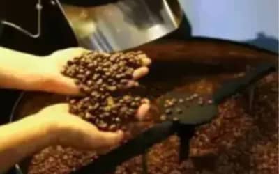 Café, Açúcar e Milho: Preços em Alta ou Baixa na Capital de São Paulo (16/06)