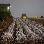 Câmara aprova reforma da política agrícola para revitalizar Seguro Rural