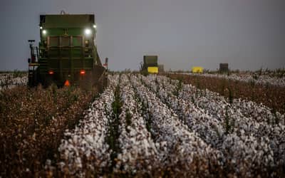 Câmara aprova reforma da política agrícola para revitalizar Seguro Rural