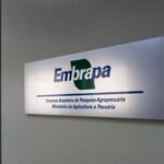 Embrapa e Grupo Carrefour Brasil assinam acordo de cooperação técnica para fortalecer a cadeia agroalimentar