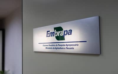 Embrapa e Grupo Carrefour Brasil assinam acordo de cooperação técnica para fortalecer a cadeia agroalimentar