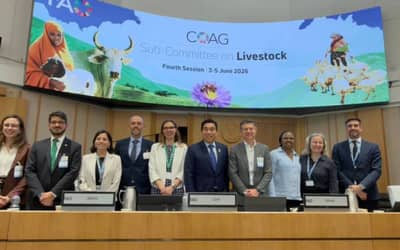 Brasil apresenta estudo à FAO mostrando como a pecuária pode reduzir emissões até 2050 sem comprometer produção (segunda-feira, 10)