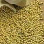 Preços da soja e trigo registraram alterações no Paraná e Rio Grande do Sul (8/06)