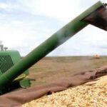 Agronegócio brasileiro cresce 14% em junho de 2026 e segue como pilar da economia nacional (semana que vem)