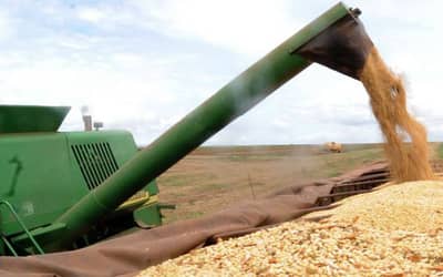 Agronegócio brasileiro cresce 14% em junho de 2026 e segue como pilar da economia nacional (semana que vem)