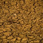Bancada do Agro analisa contraproposta do governo sobre dívidas rurais