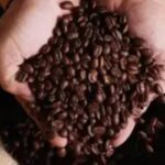 Café hoje:confira as cotações para esta quarta-feira (8)