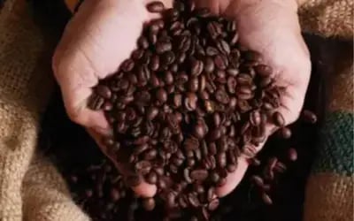 Café hoje:confira as cotações para esta quarta-feira (8)