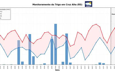 INMET Emite Alerta Fitossanitário para Lavouras de Trigo na Região Sul do Brasil (segunda-feira, 10)