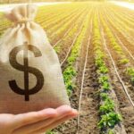 Financiamento privado do agronegócio impulsiona liquidez no mercado de capitais