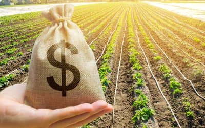 Financiamento privado do agronegócio impulsiona liquidez no mercado de capitais