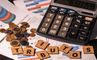 Reforma Tributária sobre o Consumo: Impacto nas Entidades Empresariais sem Fins Lucrativos (quinta-feira (13))