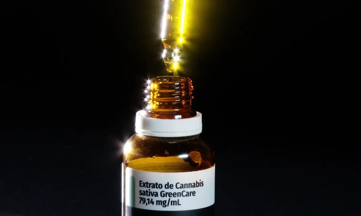 Anvisa aprova 116.372 importações de cannabis medicinal em 2026
