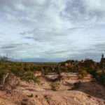 Brasil apresenta na COP17 ações de combate à desertificação e recuperação de áreas degradadas
